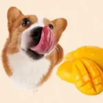 Featured image: Dogs Eat Mango